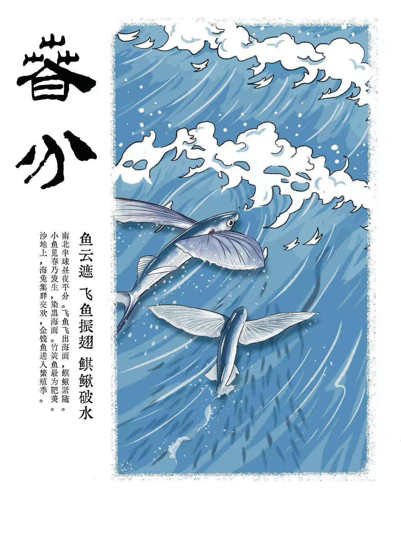 节气海语|当鱼群如云,碧海上演生死竞速 节气海语|当鱼群如云,碧海上演生死竞速_fororder_1