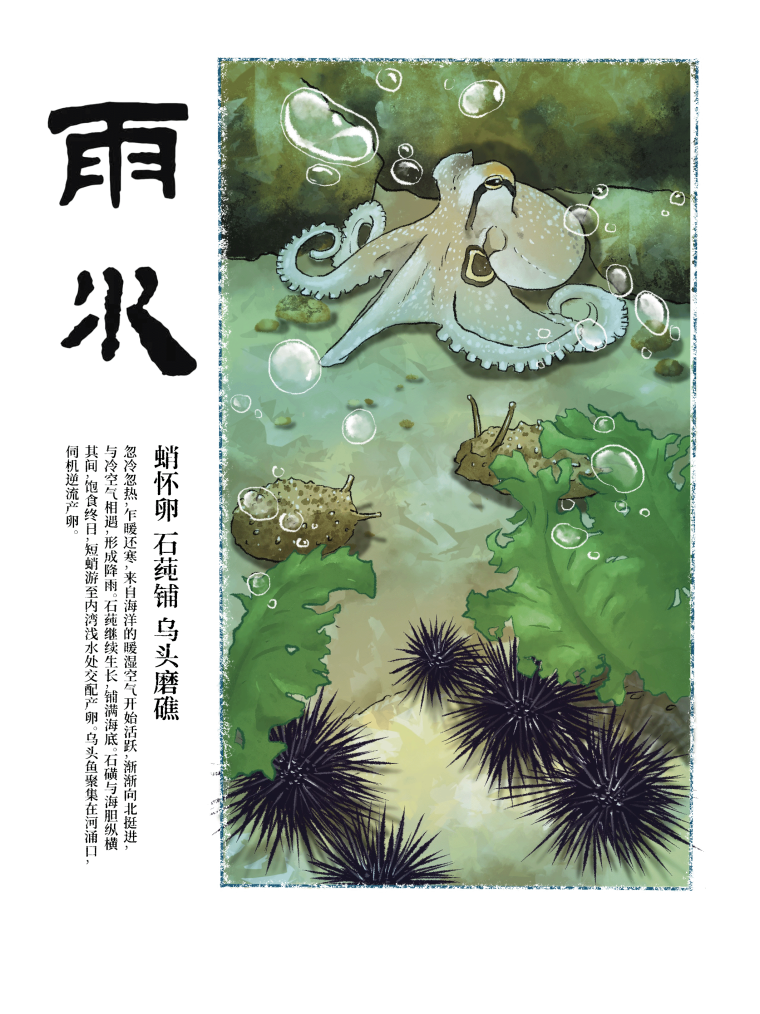 海洋物候:马年新春中的雨水与生机 海洋物候:马年新春中的雨水与生机_fororder_a900e3a784ff83fbfb0c3bdd0856624c