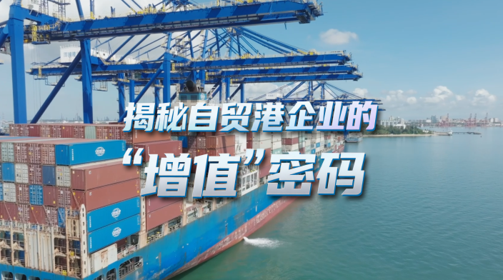 揭秘自贸港企业的“增值”密码_fororder_IMG_0694
