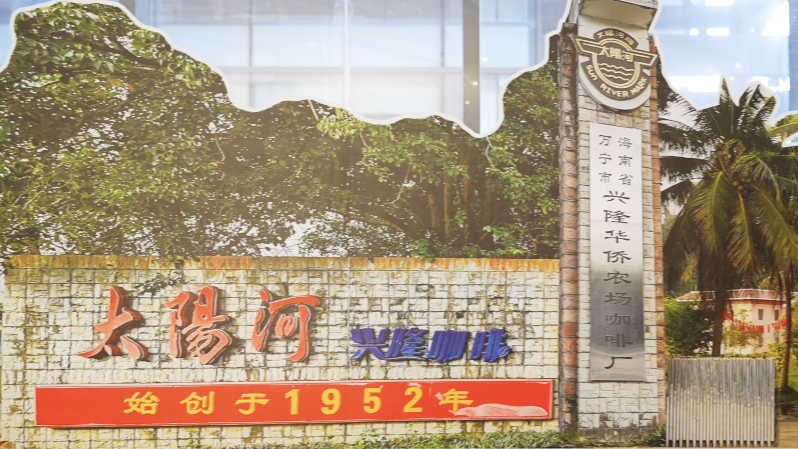 人大代表黄海文:以侨心履职,让兴隆咖啡香飘世界 人大代表黄海文:以侨心履职,让兴隆咖啡香飘世界_fororder_微信图片_20260310135055_172_5