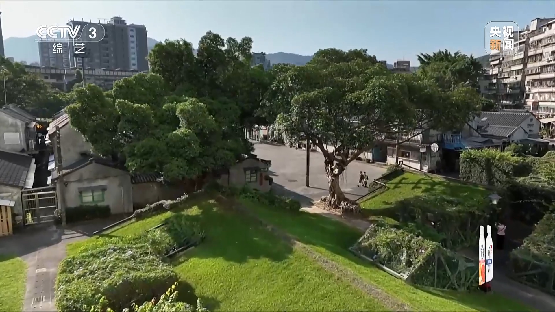 一脉同根 同曲迎春!揭秘春晚歌曲《宝岛恋歌》背后的故事 一脉同根 同曲迎春!揭秘春晚歌曲《宝岛恋歌》背后的故事