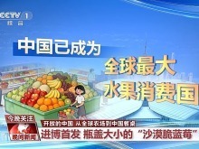 瓶盖大的蓝莓、不断供的榴莲 来看“甜蜜”的中国机遇 瓶盖大的蓝莓、不断供的榴莲 来看“甜蜜”的中国机遇