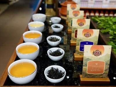 斯里兰卡：茶香越山海 古园启新章