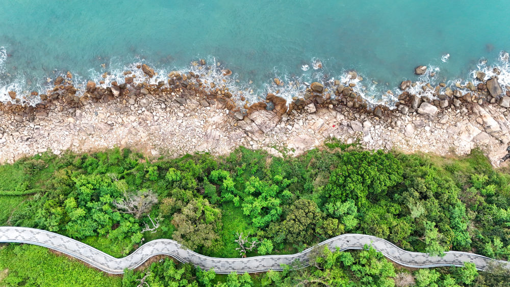 体育地理丨跃动大湾区 体育地理丨跃动大湾区