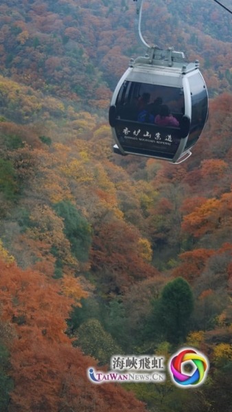 乘坐米仓山景区香炉山索道观赏彩林,犹如在油画里穿梭(摄影 王毅)