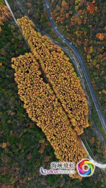 米仓山景区风光(摄影 王毅)