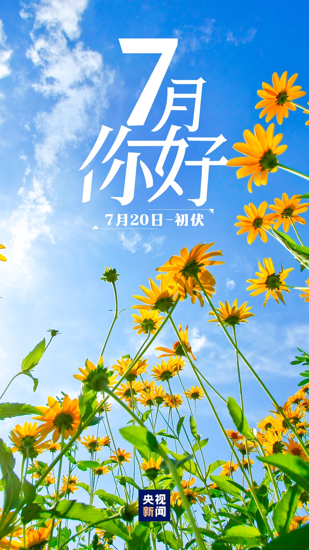 7月，你好！