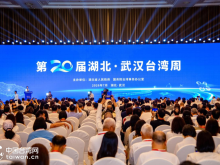 第二十届湖北·武汉台湾周在武汉开幕 第二十届湖北·武汉台湾周在武汉开幕