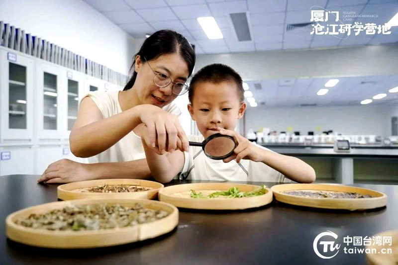“廈金童樂(lè) 艾香傳情”2025年兩岸金胞親子研學(xué)營(yíng)在海滄成功舉辦