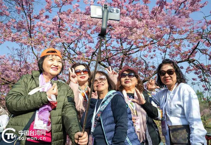 台湾旅游从业者“打卡”东湖樱花园 将动员更多同胞来湖北游玩