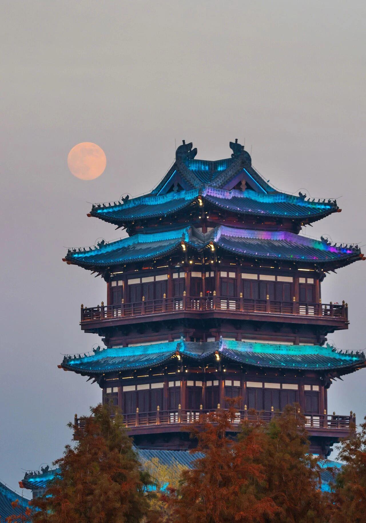 抬头哇!月亮超级大 抬头哇!月亮超级大