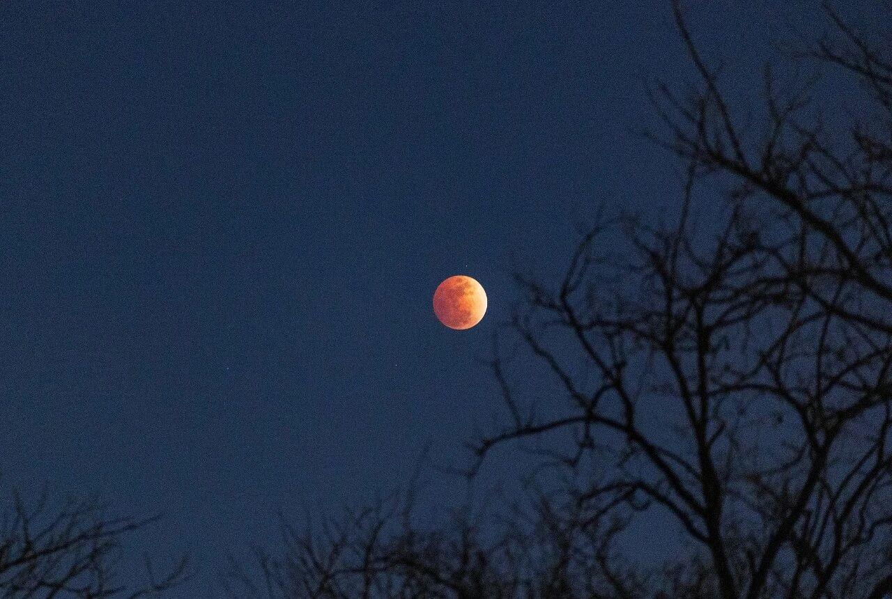 刷屏朋友圈!“元宵红月”高清大图来了 刷屏朋友圈!“元宵红月”高清大图来了