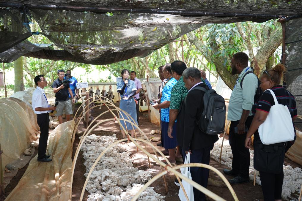 读懂中国式现代化的钥匙——《习近平谈治国理政》第五卷出版发行激发世界回响 读懂中国式现代化的钥匙——《习近平谈治国理政》第五卷出版发行激发世界回响