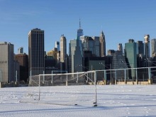 美国纽约宣布加入世卫组织疫情响应网络