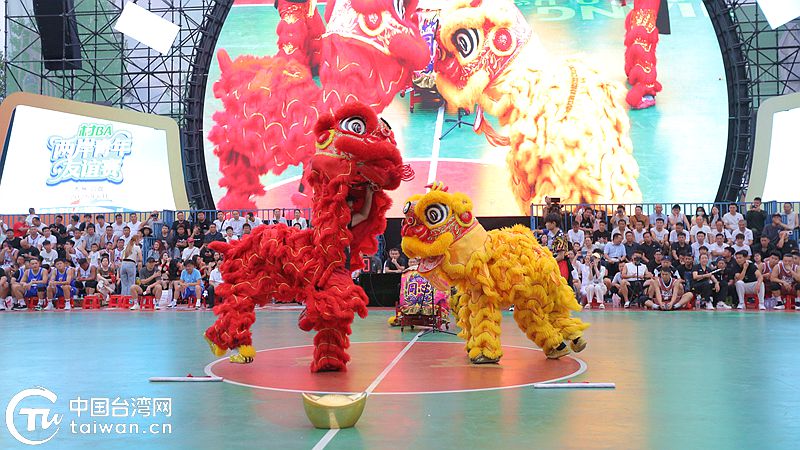 超燃！台盘夜！黔台青年“村BA”激情完满完赛