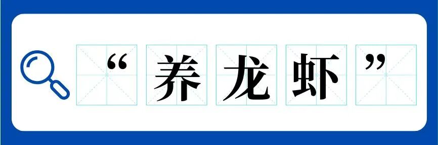 无安全，不“养虾”！