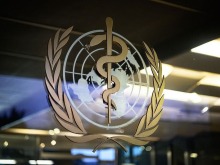 世卫组织说不安全食品每年导致超8亿人患病