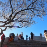 北京：颐和园春色渐浓