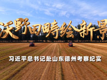 沃野田畴绘新景——习近平总书记赴山东德州考察纪实