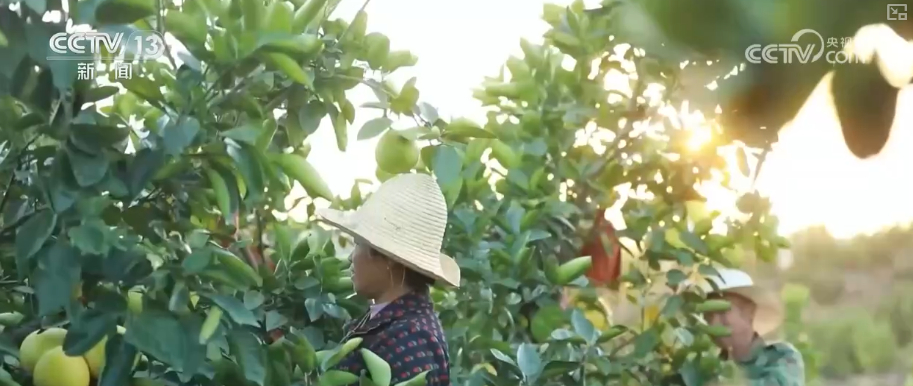 1623.9亿元、263.2万亿元、506亿人次,活跃!“数”看中国经济三季报 1623.9亿元、263.2万亿元、506亿人次,活跃!“数”看中国经济三季报