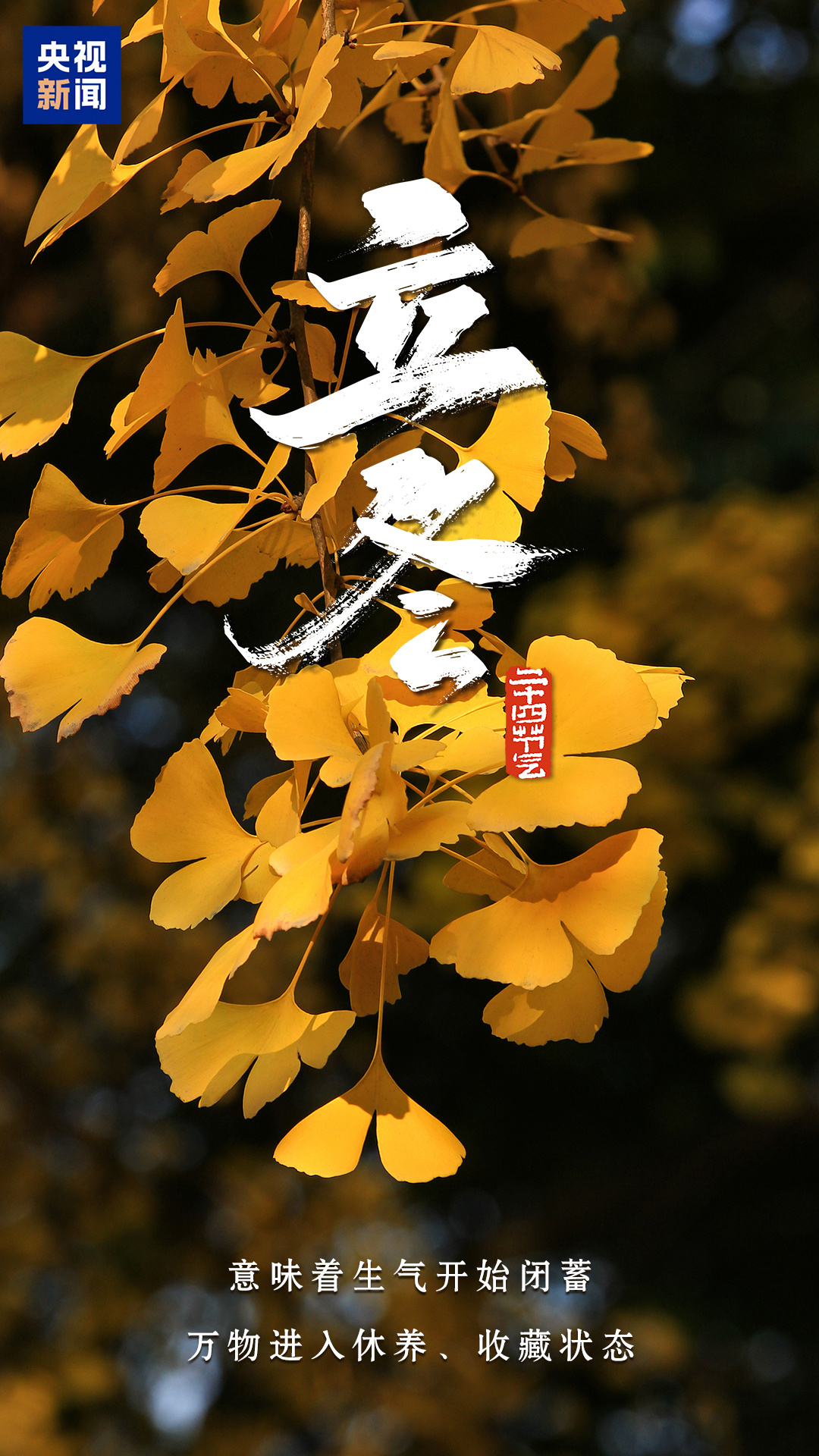 今日立冬,顺祝冬安! 今日立冬,顺祝冬安!