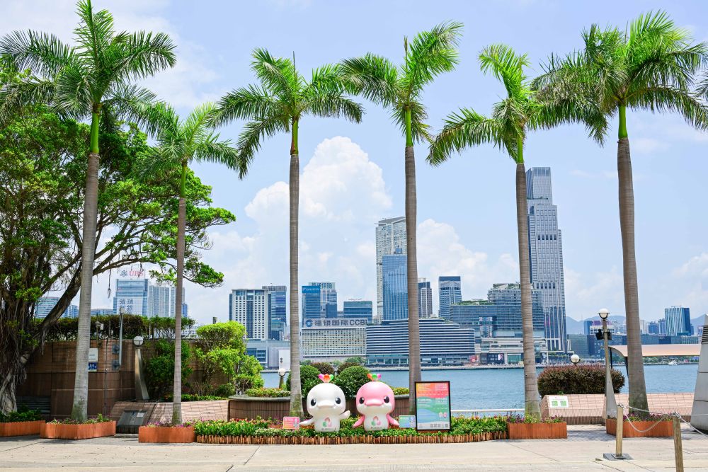 体育地理丨跃动大湾区 体育地理丨跃动大湾区