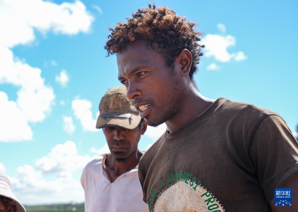 飘过印度洋的稻花香 飘过印度洋的稻花香