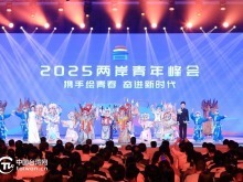 山海不为远，心安即是家——2025两岸青年峰会侧记