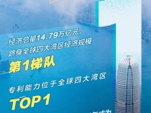 藏不住了!9图“数”读大湾区实力有多强 藏不住了!9图“数”读大湾区实力有多强