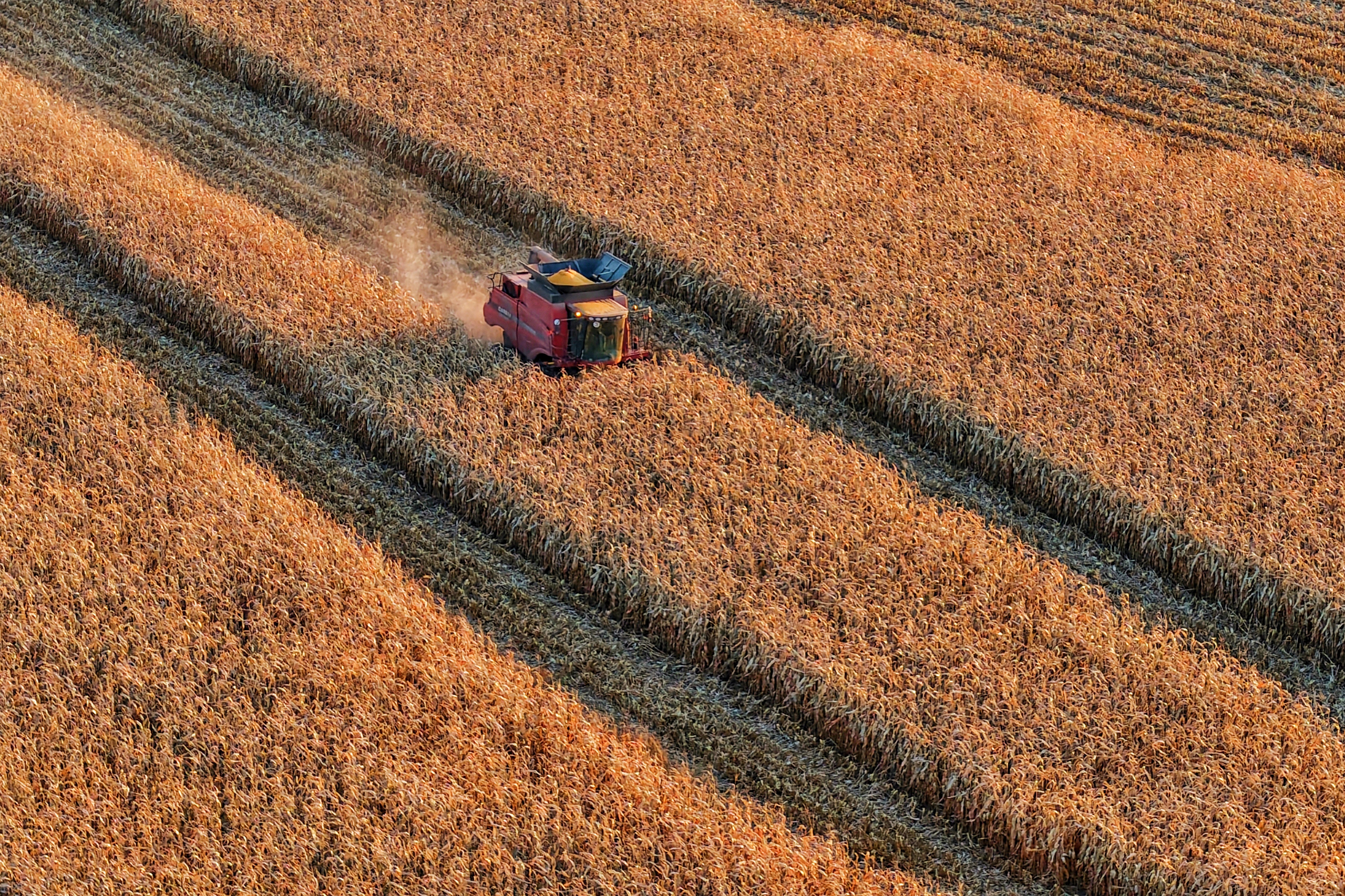 阔步向前启新程 接续奋斗谱新篇——2026年全国两会巡礼