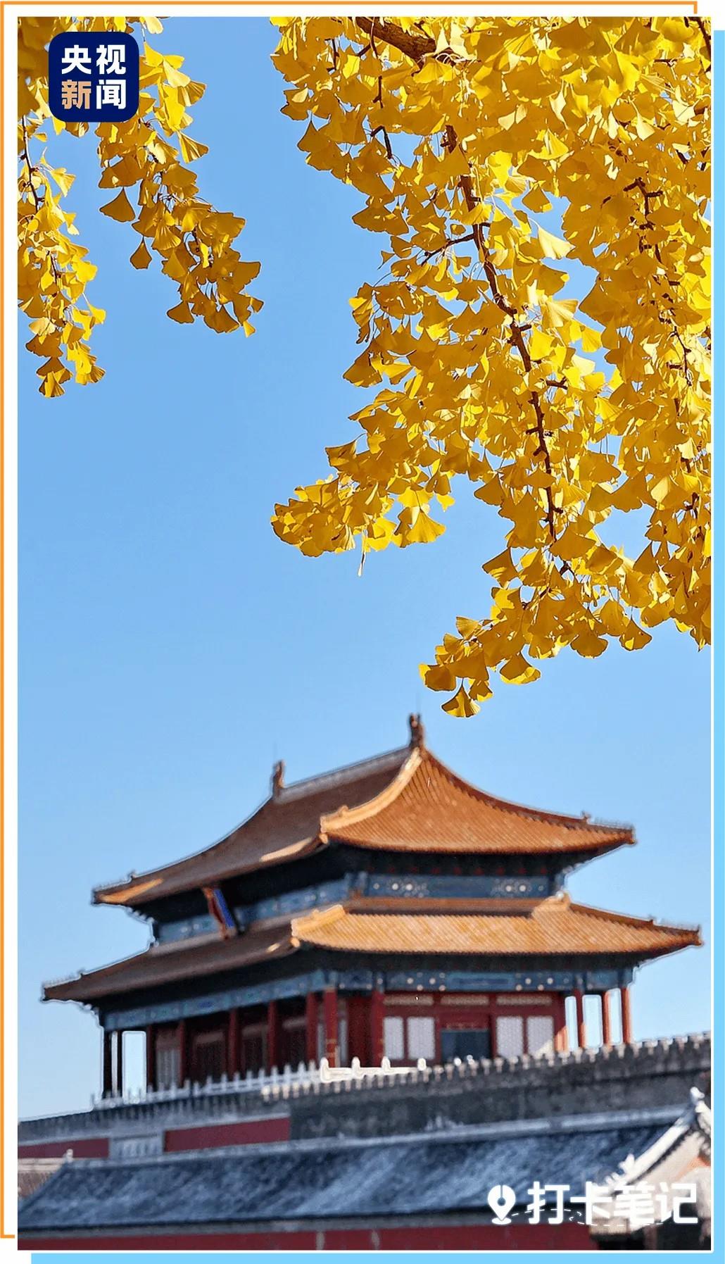 200件顶流国宝！必看清单来了