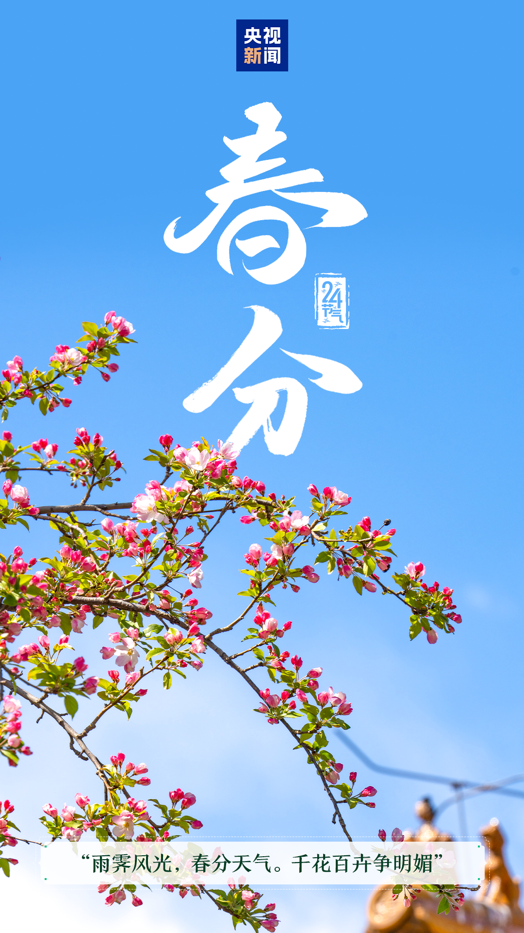 春和景明万象更新 今日迎来“春分”节气