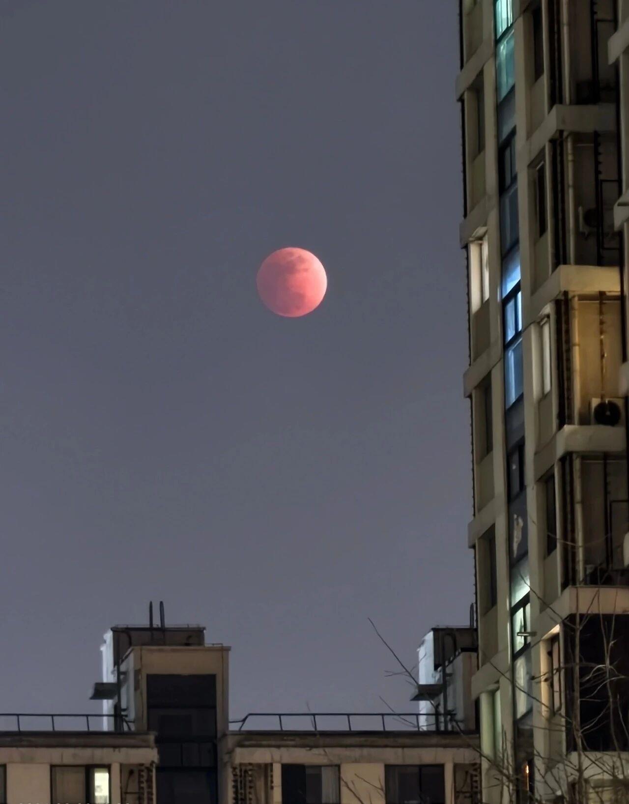 刷屏朋友圈!“元宵红月”高清大图来了 刷屏朋友圈!“元宵红月”高清大图来了