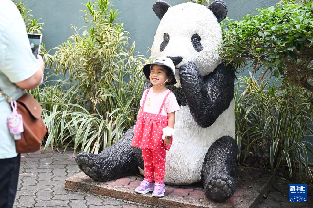 “‘興興’‘靚靚’，我們永遠(yuǎn)愛你們！”——馬來西亞民眾依依惜別大熊貓啟程歸國