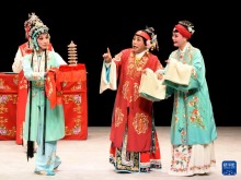 锡剧《珍珠塔》在维也纳精彩亮相