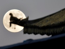 惊艳大图来了!一起“云赏”年度最大超级月亮 惊艳大图来了!一起“云赏”年度最大超级月亮