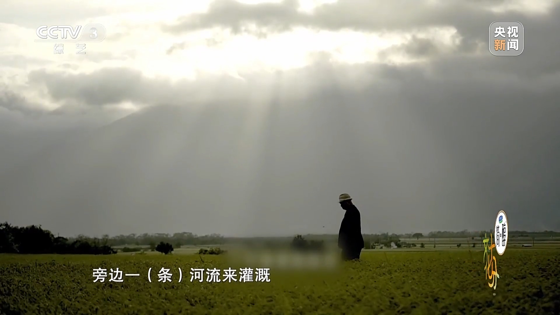 一脉同根 同曲迎春!揭秘春晚歌曲《宝岛恋歌》背后的故事 一脉同根 同曲迎春!揭秘春晚歌曲《宝岛恋歌》背后的故事