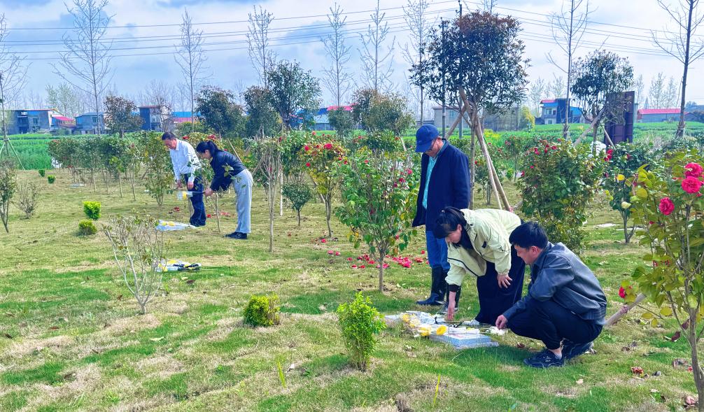 慎终追远 家国同念——大江南北清明寄思 慎终追远 家国同念——大江南北清明寄思