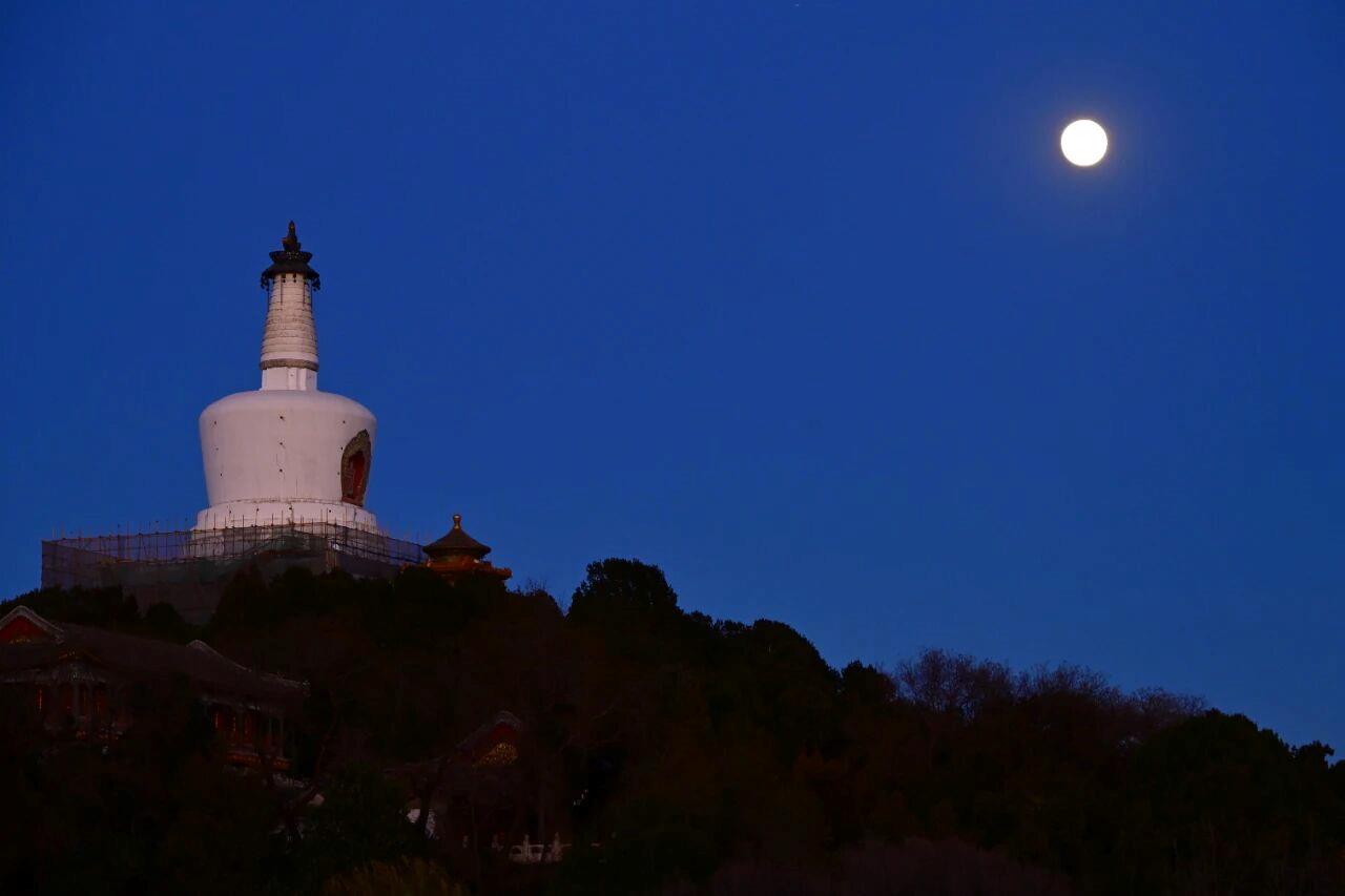 抬头哇!月亮超级大 抬头哇!月亮超级大