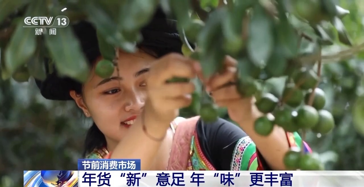 南货北上 年货“新”意足 年味更丰富