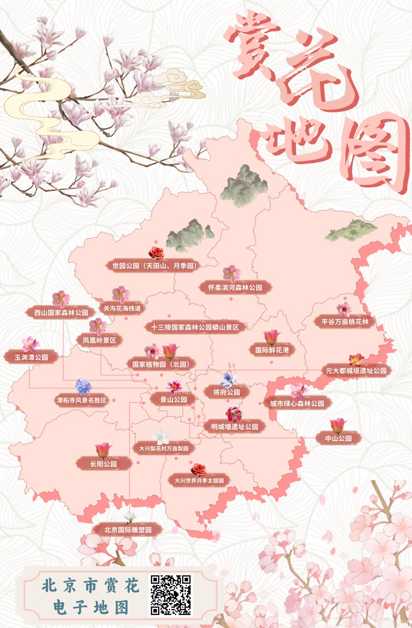 214处赏花地 163项特色活动!“花开北京”赏春系列活动启幕 214处赏花地 163项特色活动!“花开北京”赏春系列活动启幕