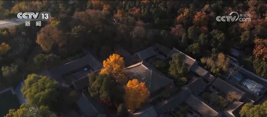 绾青丝着唐装、走进书中美景……传统文化生动“破圈”撬动消费澎湃活力 绾青丝着唐装、走进书中美景……传统文化生动“破圈”撬动消费澎湃活力