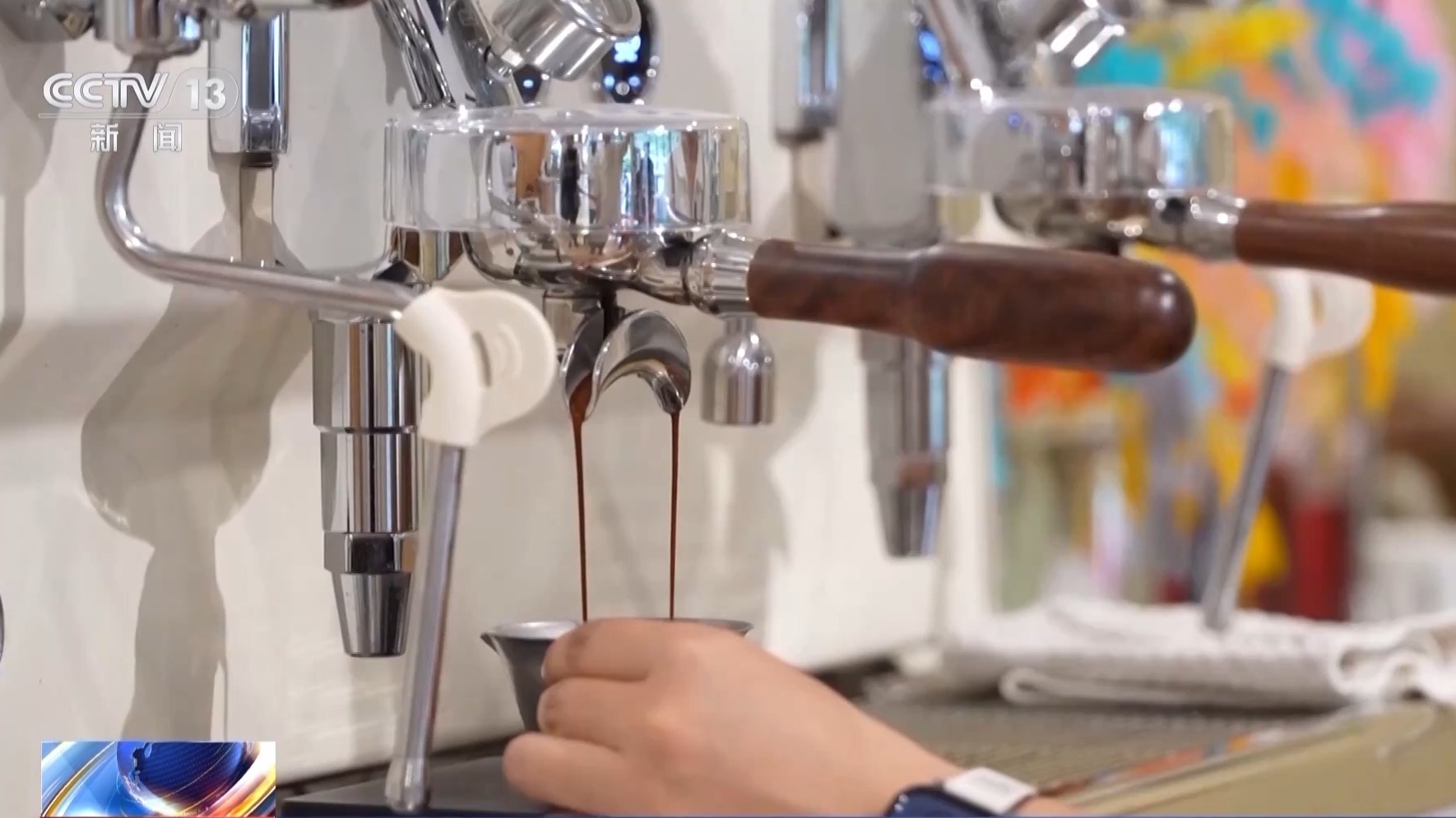 精品率97％！这份新职业让咖啡从鲜果到熟豆都“有标准”