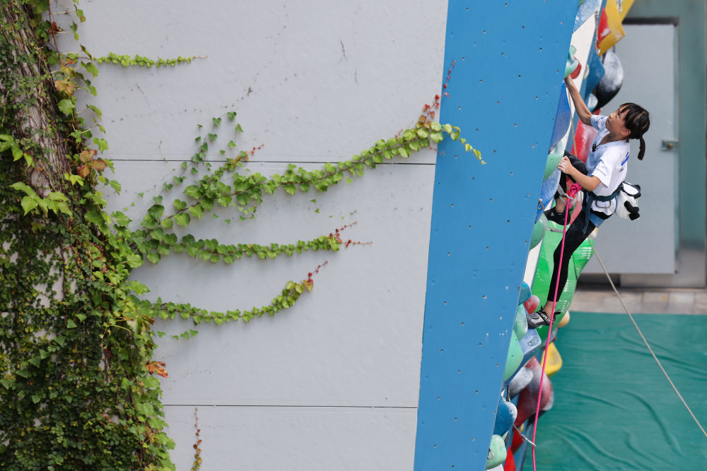 体育地理丨跃动大湾区 体育地理丨跃动大湾区