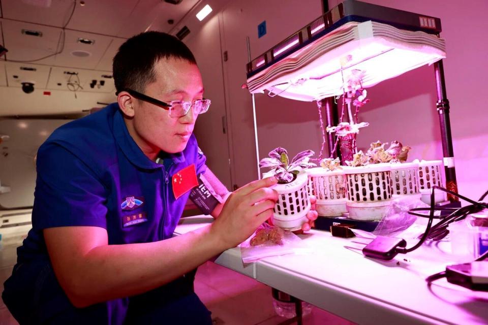 “神二十一”飞天在即 乘组地面训练精彩瞬间→ “神二十一”飞天在即 乘组地面训练精彩瞬间→