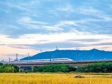 42.8亿人次、同比增长6.6%,创新高!“流动的中国”映照经济活力 42.8亿人次、同比增长6.6%,创新高!“流动的中国”映照经济活力