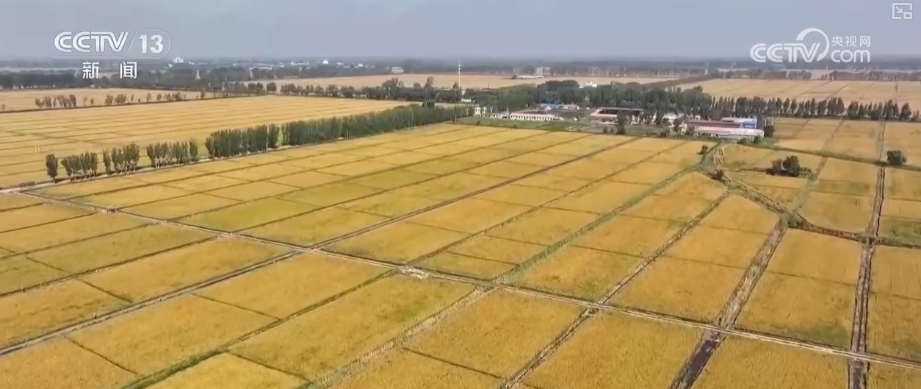 1623.9亿元、263.2万亿元、506亿人次,活跃!“数”看中国经济三季报 1623.9亿元、263.2万亿元、506亿人次,活跃!“数”看中国经济三季报