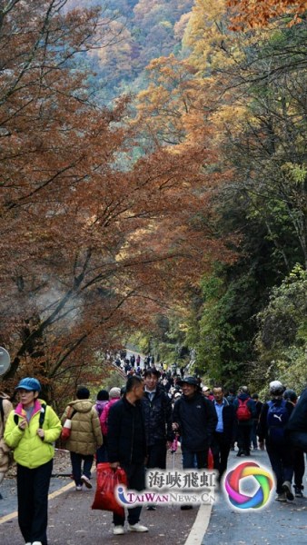 米仓山景区内游客如织(摄影 王毅)