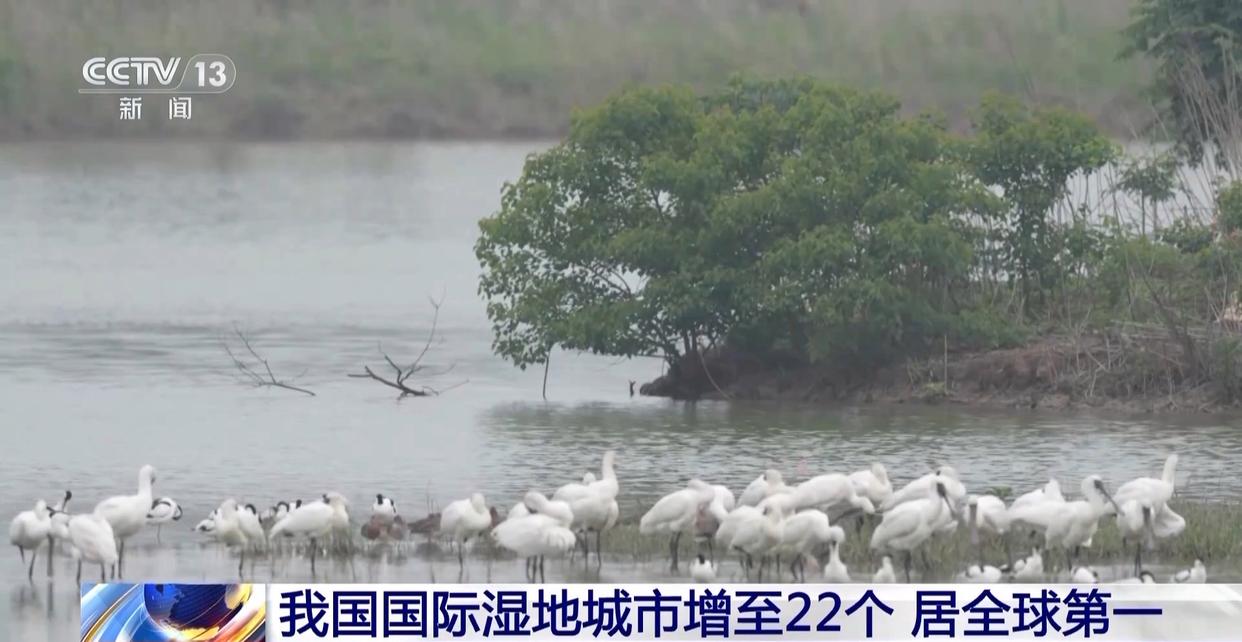 中国国际湿地城市增至22个 湿地面积稳定在5635万公顷以上