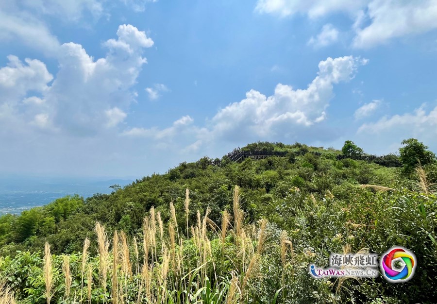 追寻抗战记忆｜影珠山：倭寇未曾留片甲，英魂驻此障长沙_fororder_６